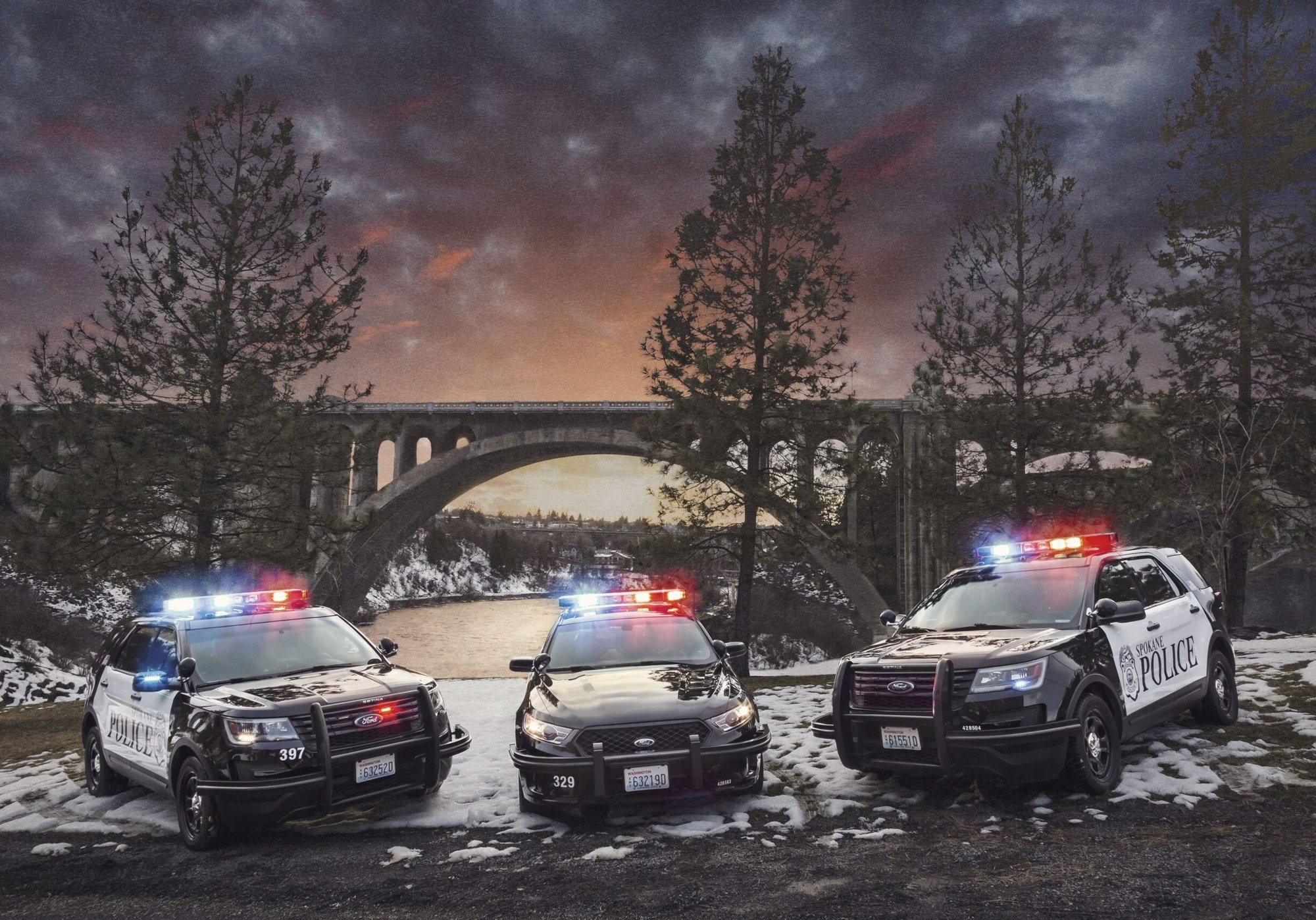 1000029604 1000029604